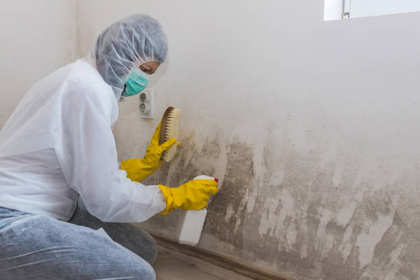 Best Crawl Space Mold Removal  in Riverdale Park, CA