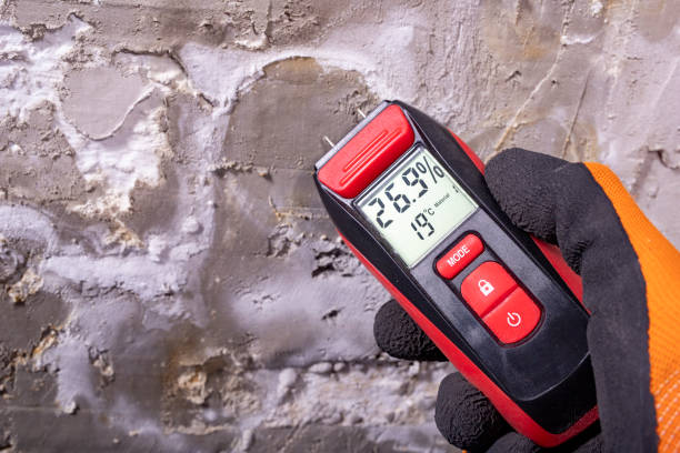Riverdale Park, CA Mold Removal Company