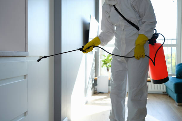 Best Commercial Mold Removal  in Riverdale Park, CA