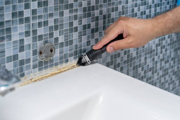 Best Mold Testing  in Riverdale Park, CA