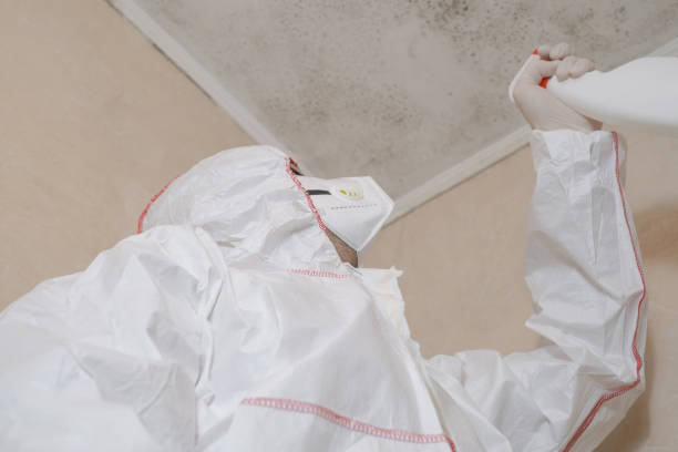 Best Toxic Mold Removal  in Riverdale Park, CA