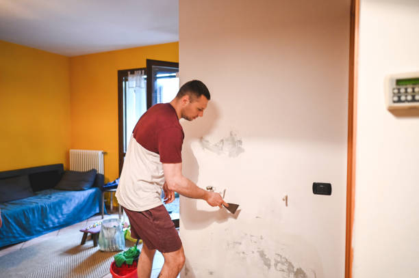 Best Mold Removal Near Me  in Riverdale Park, CA